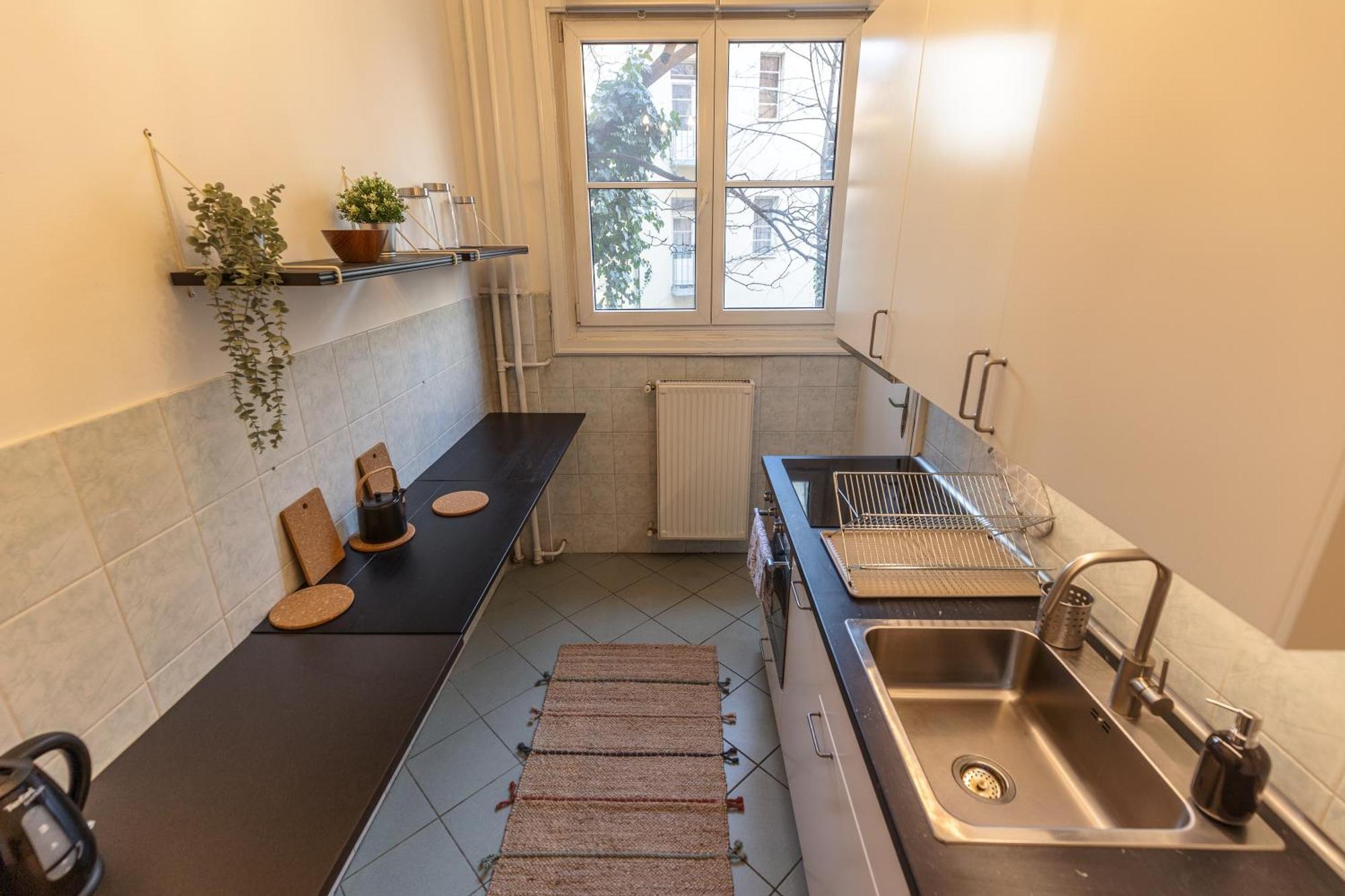 Bright & Spacious Riverside Apartment With Balcony 布达佩斯 外观 照片